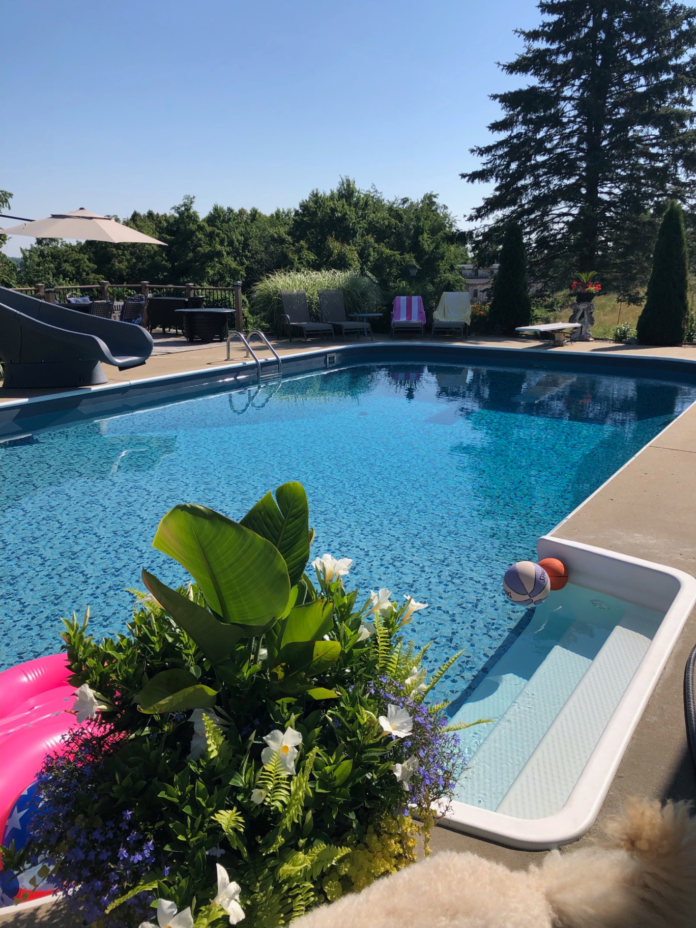 Inground Pool Installation